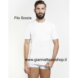 Maglia filo Scozia...